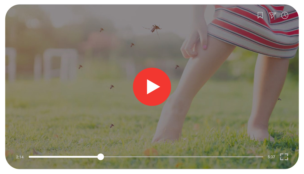 Gli impianti antizanzare MistAway sono la soluzione definitiva al problema delle zanzare in giardino