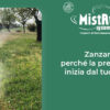 Zanzare e virus: perché la prevenzione inizia dal tuo giardino