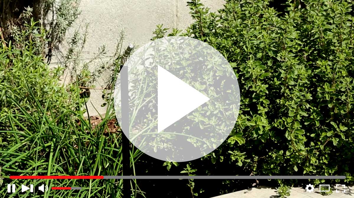 Gli impianti antizanzare MistAway sono la soluzione definitiva al problema delle zanzare in giardino