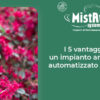 5 vantaggi di un impianto antizanzare automatizzato MistAway