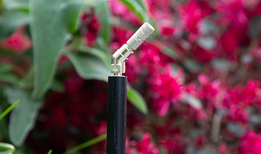 Ugello nebulizzatore di un impianto antizanzare perimetrale installato in un giardino.